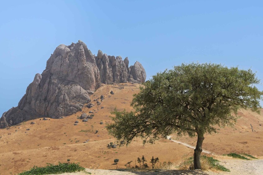 A rocky mountain peak, a solitary tree, and a dirt path. 5