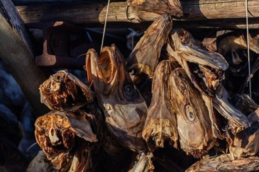 Dried fish hanging from a wooden structure. 3
