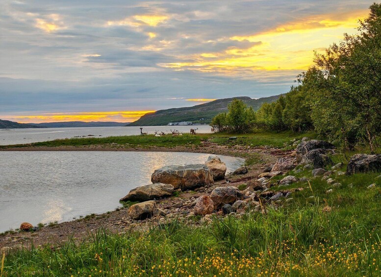 Picture 3 for Activity Kirkenes: Midnight Sun Guided Hike 3