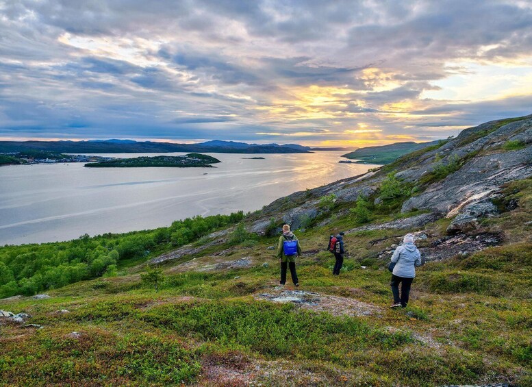 Kirkenes: Midnight Sun Guided Hike 1