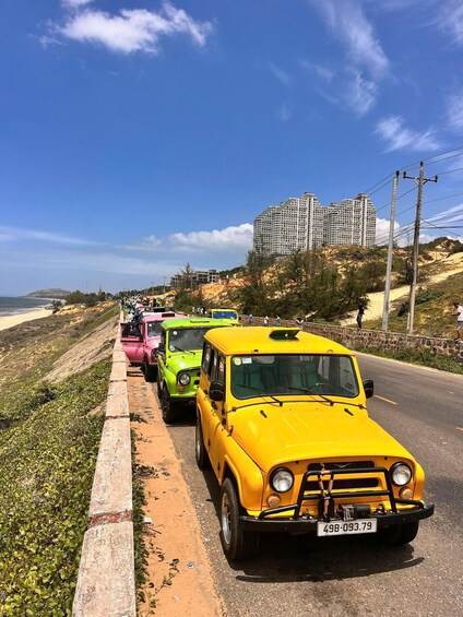 A row of vintage cars parked along a roadside with a beach and high-rise buildings in the background. 1