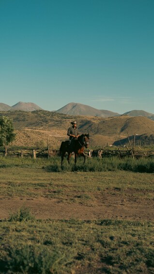 A person riding a horse in a grassy field with mountains in the background. 3