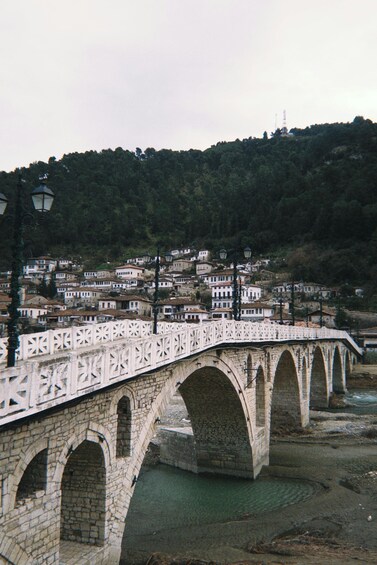 A stone bridge with arches over a river, surrounded by a hillside village with buildings. 5