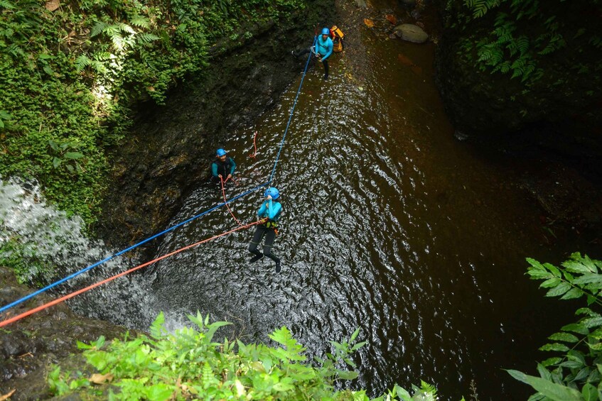 Picture 8 for Activity Gitgit Waterfall Bali: Canyoning Adventure with Lunch 5