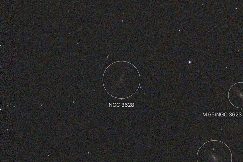 A starry night sky with two circled celestial objects labeled NGC 3628 and M 65/NGC 3623. 5