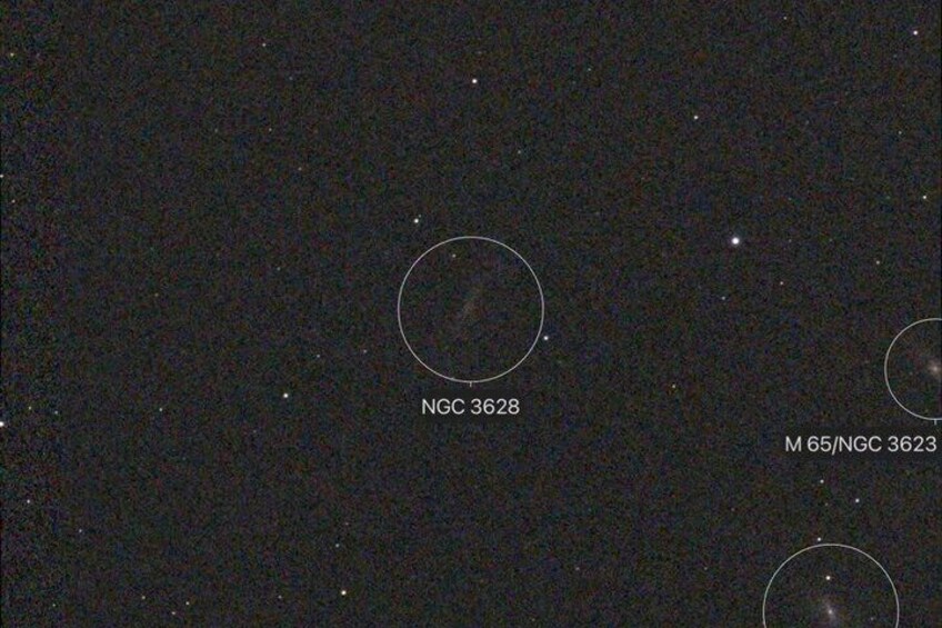Stellar Experience in Oeno 5