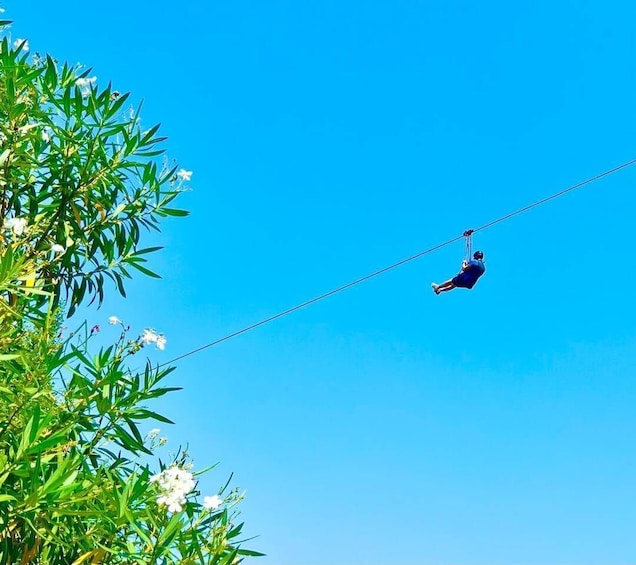 A person suspended on a cable in the air, with greenery and clear blue sky in the background. 5