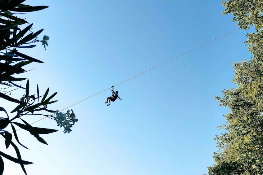 A person bungee jumping with a clear blue sky and trees in the foreground. 2