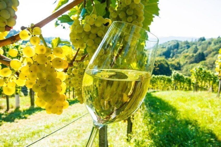 A glass of white wine with a vineyard in the background. 1