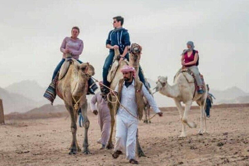 A group of people riding camels in a desert landscape. 3