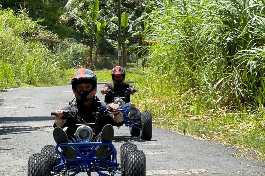 Two people riding quad bikes on a paved road surrounded by greenery. 3
