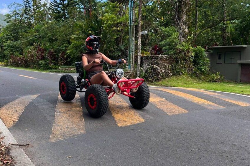 A person riding a red ATV on a road with yellow lines, surrounded by greenery and a stone wall. 2