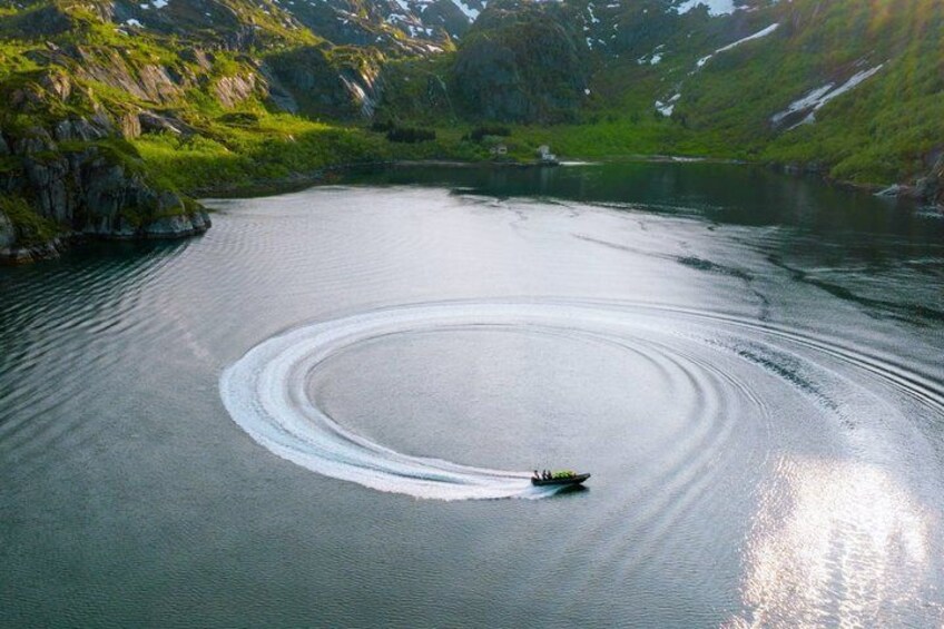 Trollfjord cruise from Stokmarknes with RIB boat 5