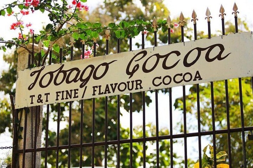 A sign with the text 'Tobago Cocoa T&T Fine/Flavour Cocoa' on a metal gate. 1