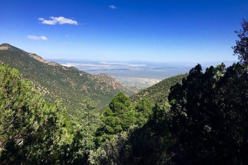 Scottsdale to Madera Canyon Hummingbird and Birdwatching Tour 5