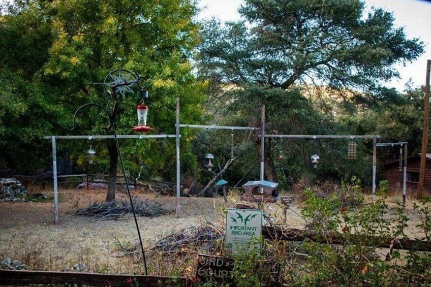 Comedero para pájaros con un cartel que indica santuario de aves. 3
