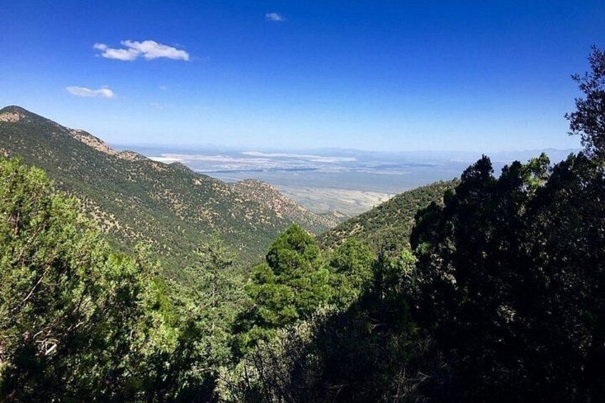 Un paisaje montañoso con bosques verdes y un cielo azul despejado. 5