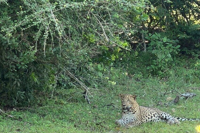 Yala National Park Safari Shared Tour from Hambantota Port 5