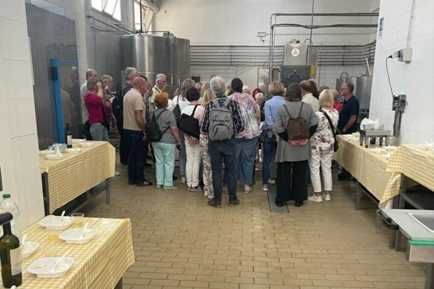 Mozzarella Making Show with Tasting in Bari 5