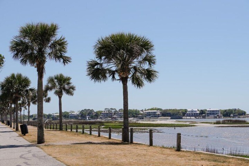 A waterfront promenade with palm trees and a fence along the path. 4