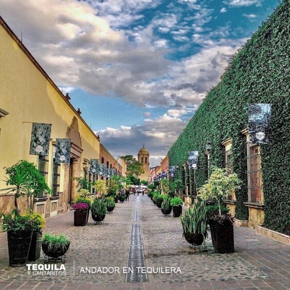 Tequila, Casa Sauza & Cantaritos Experience from Guadalajara 3