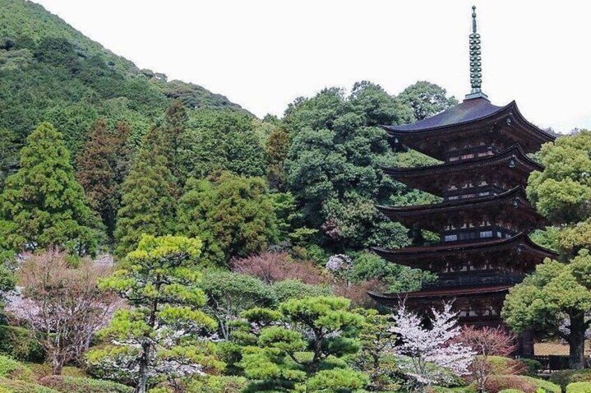 Fukuoka Bus Tour to Miyajidake Shrine Visit 4