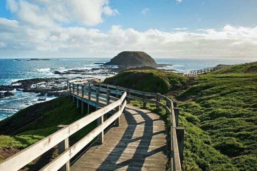 A wooden boardwalk leading to a coastal area with grassy terrain and a prominent hill in the background. 5