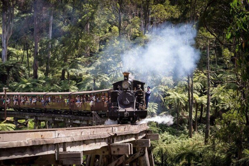 A steam train with passengers, traveling through a forested area with steam emission. 3