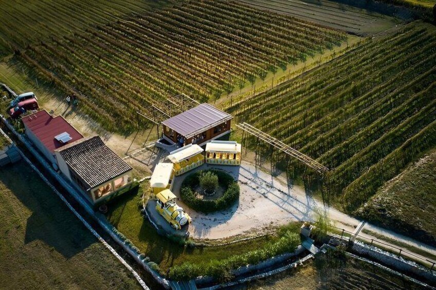 An aerial view of a vineyard with rows of grapevines, a central building, and a circular driveway. 3