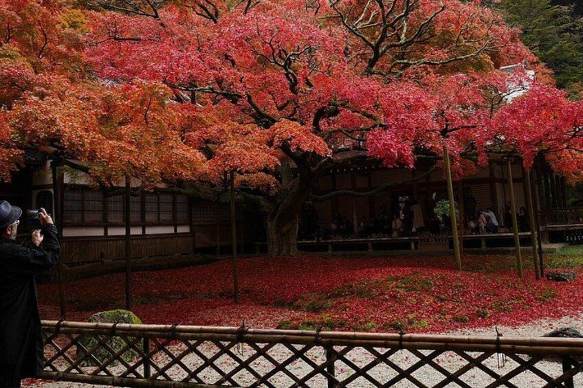 Itoshima Day Tour: Shiraito Falls & Coastal Views from Fukuoka 3