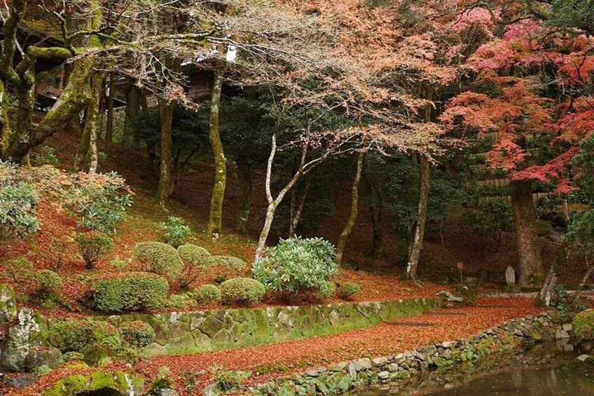 Itoshima Day Tour: Shiraito Falls & Coastal Views from Fukuoka 4