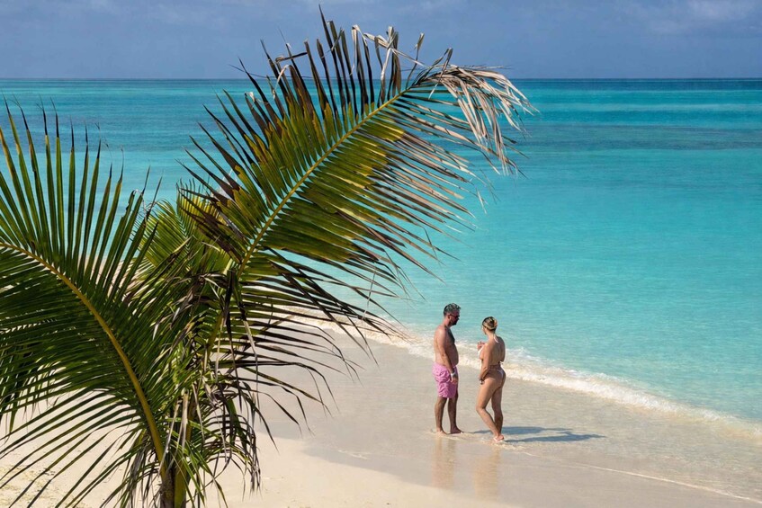A beach with clear turquoise water and a palm tree. 5