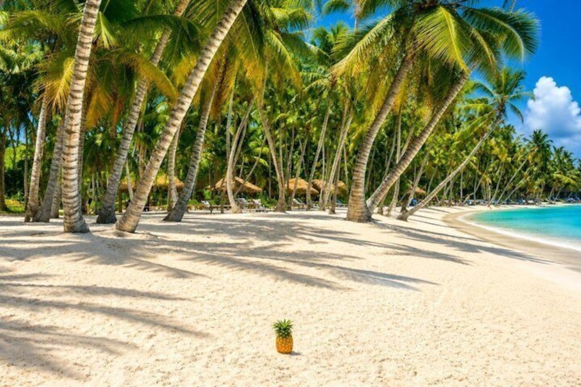 A beach with palm trees and a pineapple on the sand. 2