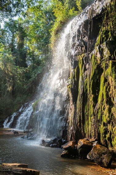 Een waterval die over met mos bedekte rotsen stroomt in een kalm stroompje, omringd door dicht bos. 2