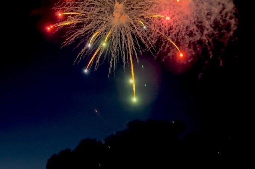 Fireworks exploding in the night sky. 5