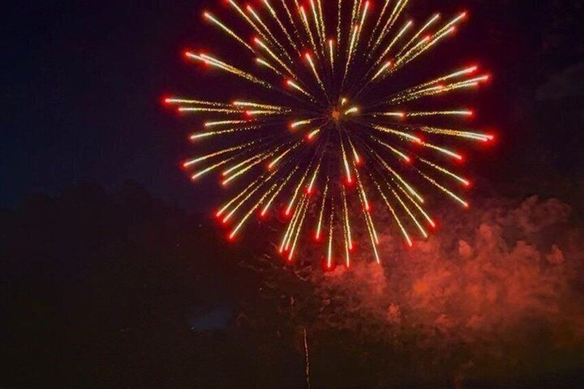 A night sky with a firework display. 4