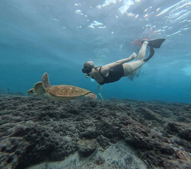 Picture 5 for Activity From Bali 3-Spot Nusa Penida Snorkeling w/ GoPro & West Tour 2