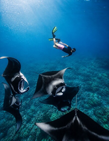 Picture 1 for Activity From Bali: Snorkeling 3 Spots with GoPro & West Penida Tour 2