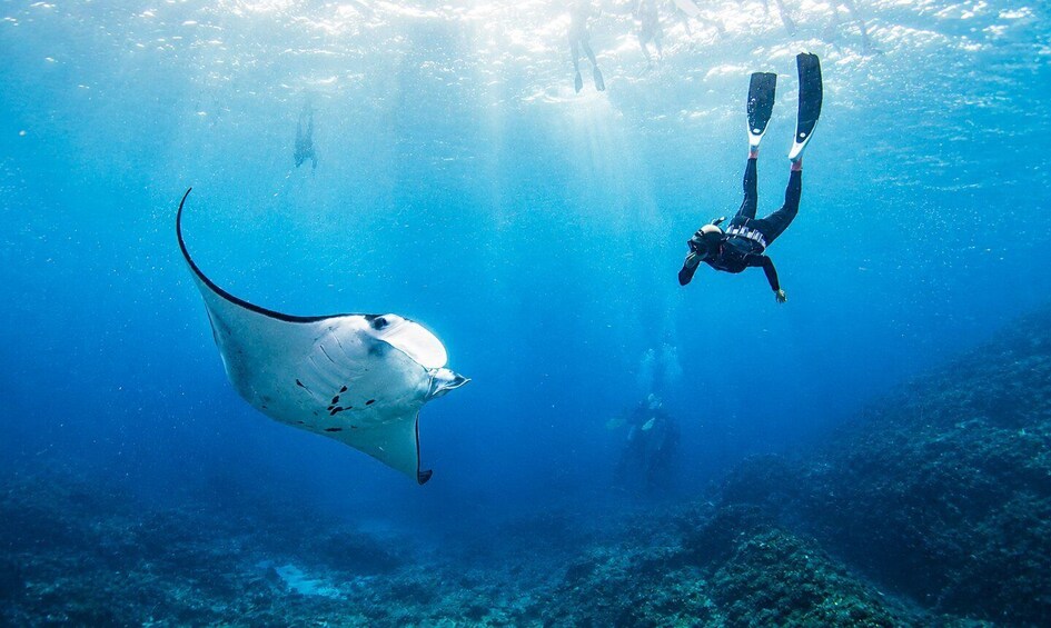 From Bali: Snorkeling 3 Spots with GoPro & West Penida Tour 1