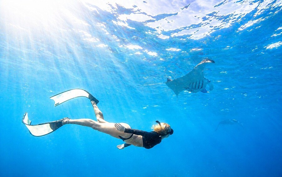 Picture 35 for Activity From Bali: Snorkeling 3 Spots with GoPro & West Penida Tour 3