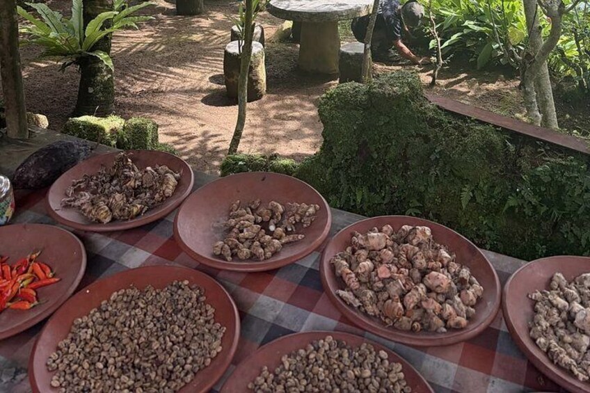 Terracotta bowls filled with various food items on a checkered tablecloth outdoors. 3