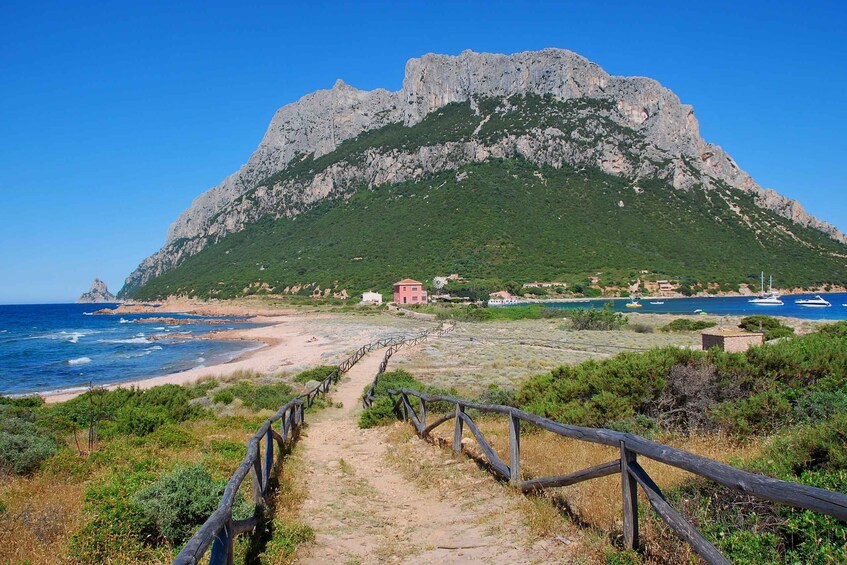 A coastal path leading to a mountain with a beach and boats in the background. 3