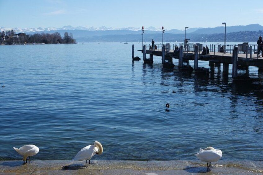 Mysteries of Zurich Dark Tour 5