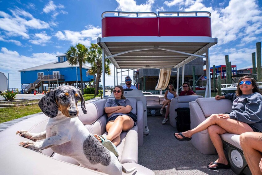 A dog sitting on a boat with people around it. 2