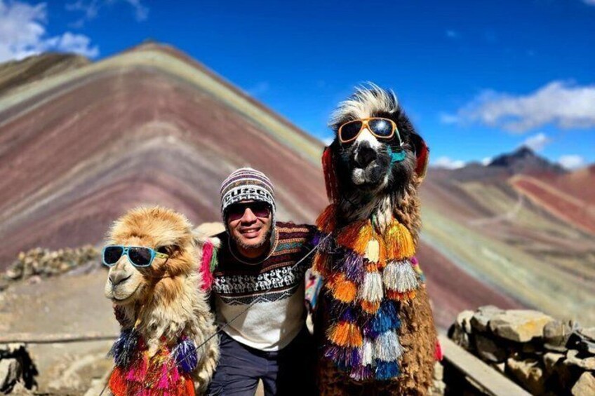 A person with two llamas in a mountainous landscape. 3