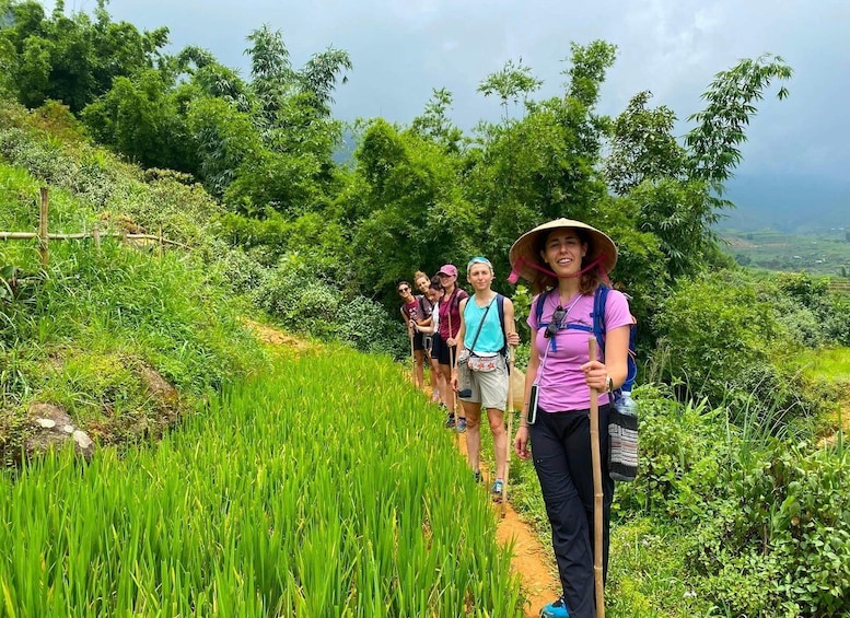A group of hikers on a dirt trail surrounded by lush greenery and bamboo trees. 4
