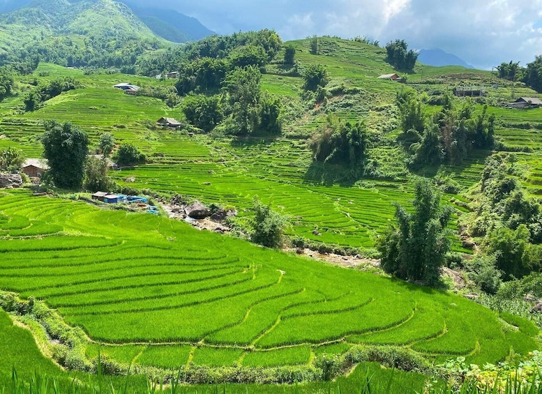 Terraced rice fields, a small village, and a mountain range. 5