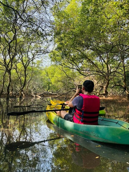A person kayaking in a green kayak on a calm river surrounded by dense trees. 2