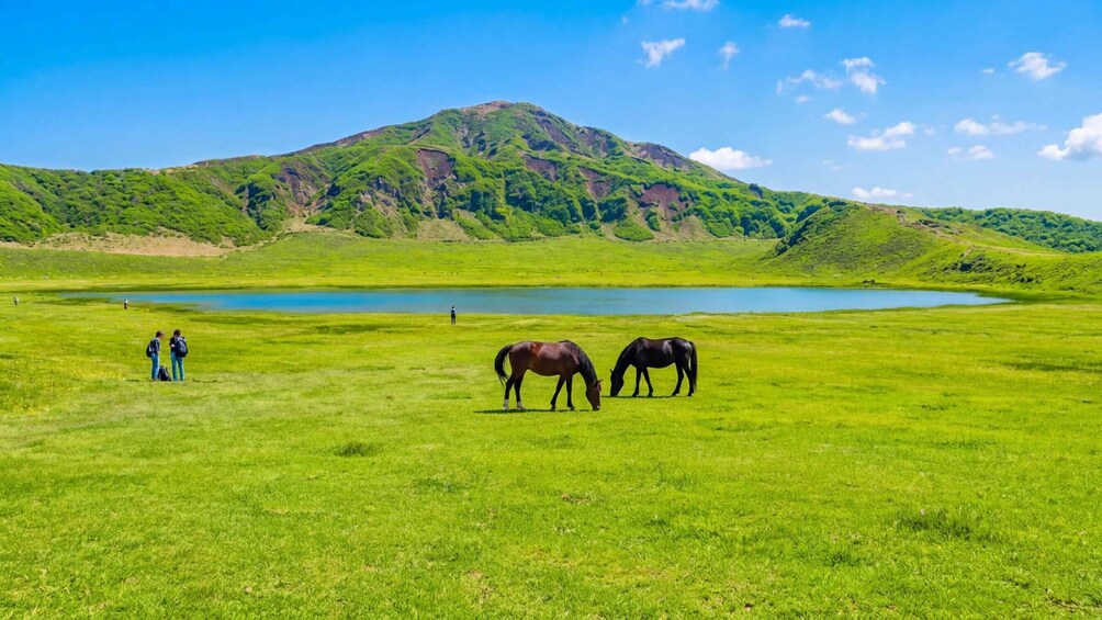 A green field with two horses grazing, a lake, and a mountain in the background. 3