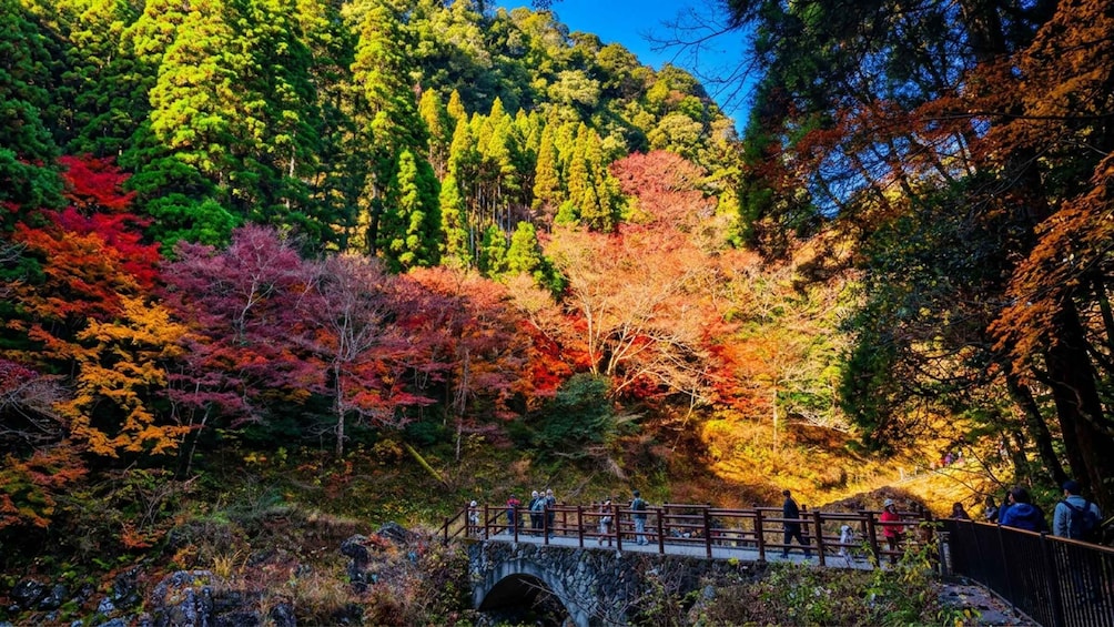 Picture 7 for Activity Mt. Aso & Takachiho Gorge Tour with Optional Boat Ride 3